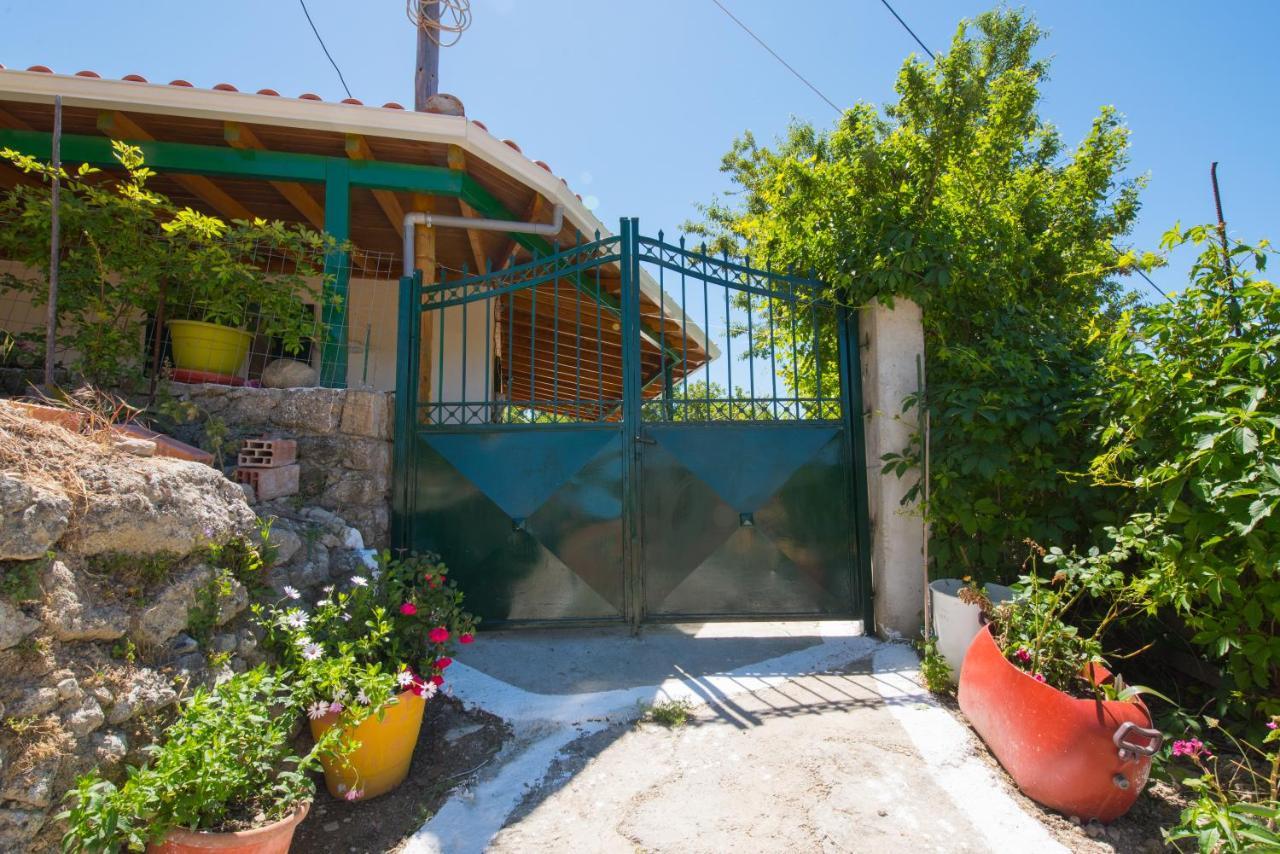 Basil & Guest House Lazarata Экстерьер фото